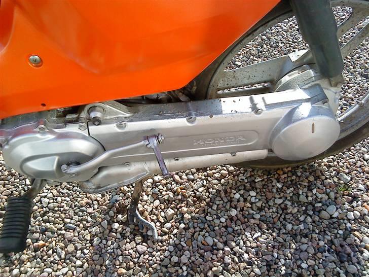 Honda  wallaroo (SOLGT) billede 13