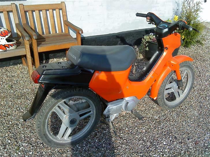 Honda  wallaroo (SOLGT) billede 14