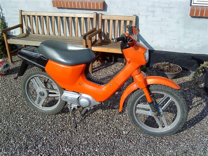 Honda  wallaroo (SOLGT) billede 15