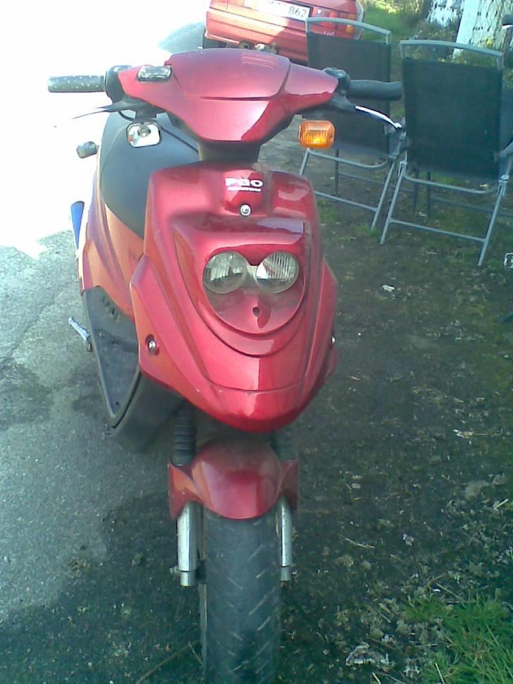 PGO Hot 50   solgt billede 2