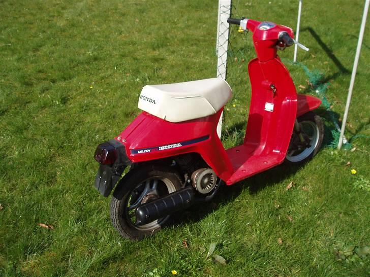 Honda Melody [Tidl. Knallert] billede 2