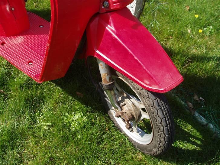 Honda Melody [Tidl. Knallert] billede 3