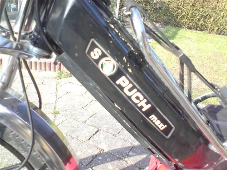Puch Maxi S billede 5
