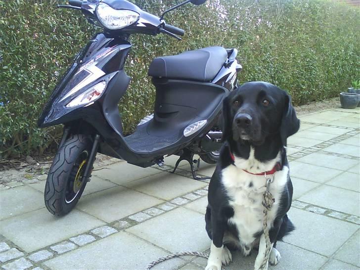 PGO Black Magic billede 12