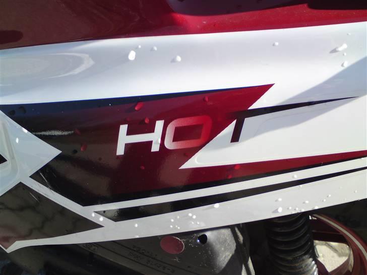 PGO Hot 50 (til salg) billede 8