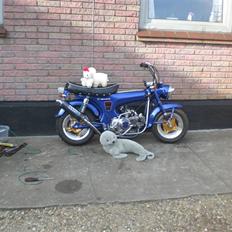 Honda Dax Lowrider. Korgaards!