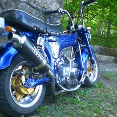 Honda Dax Lowrider. Korgaards!