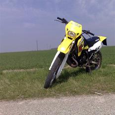 Suzuki RMX