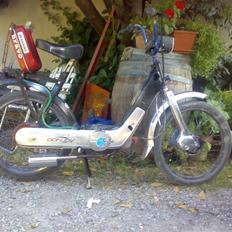 Piaggio ciao px   ¤ SOLD ¤