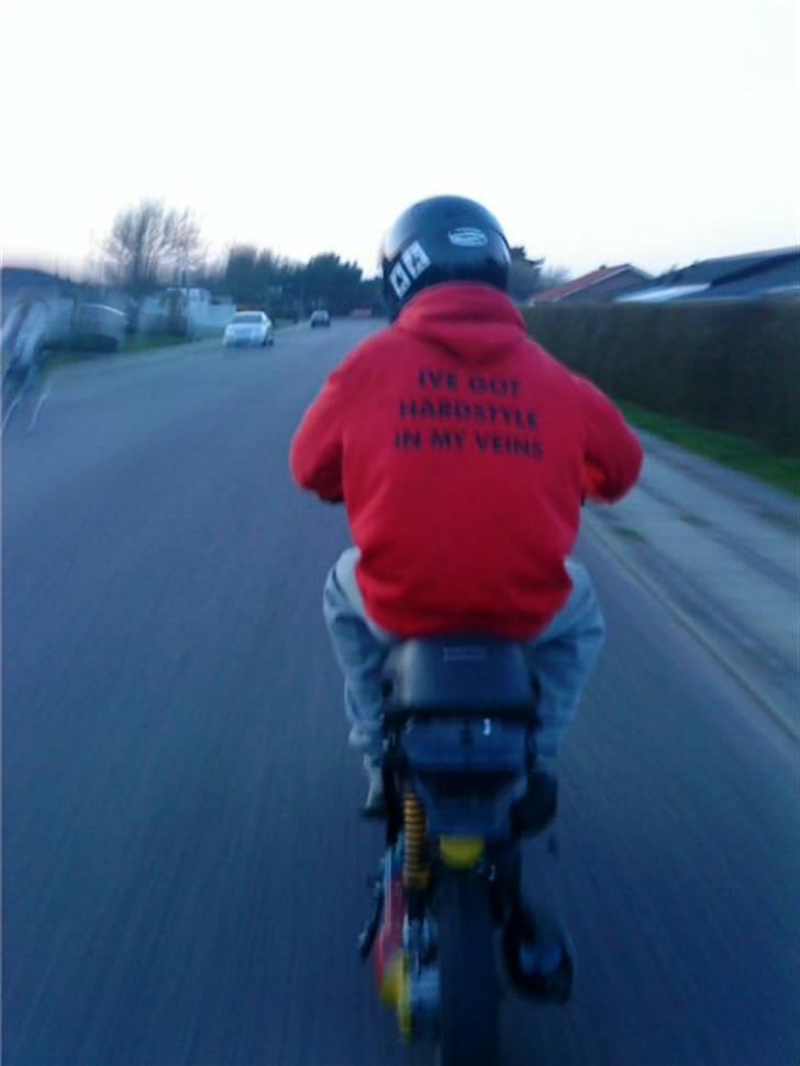 Piaggio Rastafari Zip [BYTTET] - Fed trøje:D "Ive got hardstyle in my veins":D:D billede 14