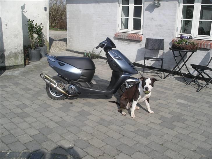 Aprilia sonic SOLGT billede 4