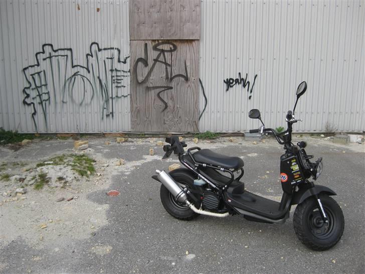 Honda Zoomer / Ruckus billede 15