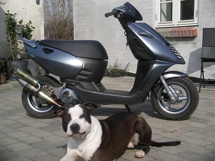 Aprilia sonic SOLGT billede 5