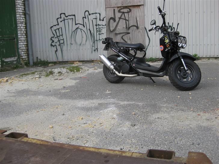 Honda Zoomer / Ruckus billede 16