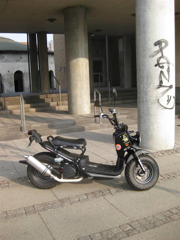 Honda Zoomer / Ruckus billede 18