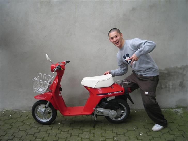 Honda NT 50 Melody billede 10