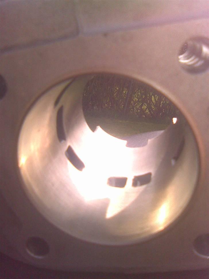 Adly cat 50 projekt solgt billede 6