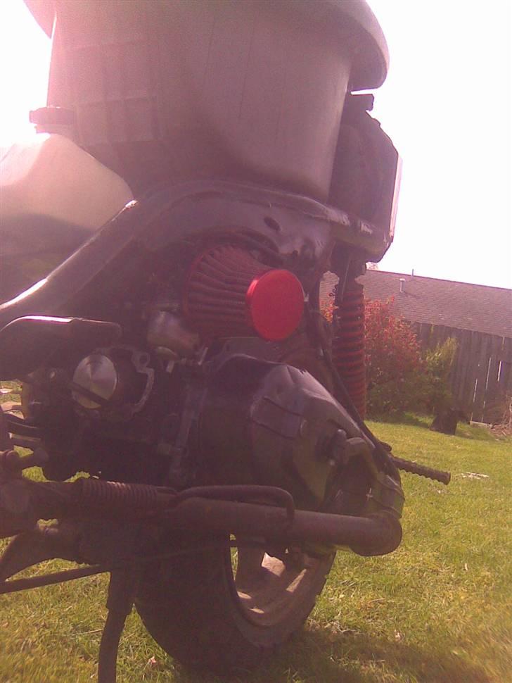 Adly cat 50 projekt solgt billede 8