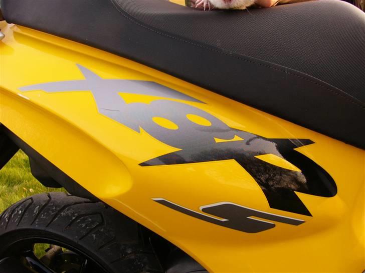 Honda x8r billede 15