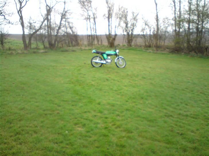 Yamaha fs1 solgt billede 6