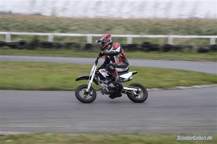 Pitpro Lite billede 11