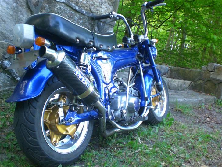 Honda Dax Lowrider. Korgaards! billede 3