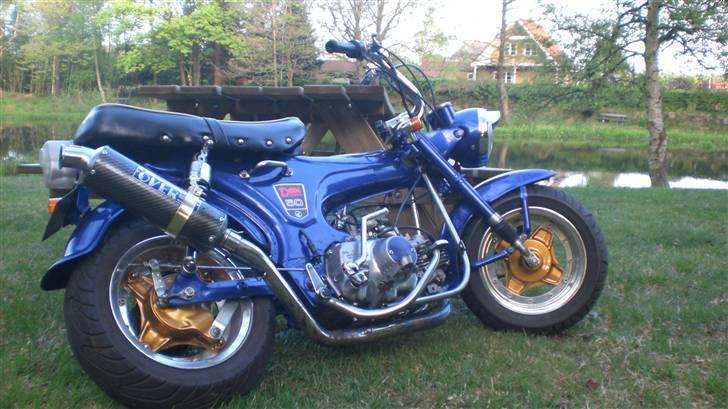 Honda Dax Lowrider. Korgaards! billede 4