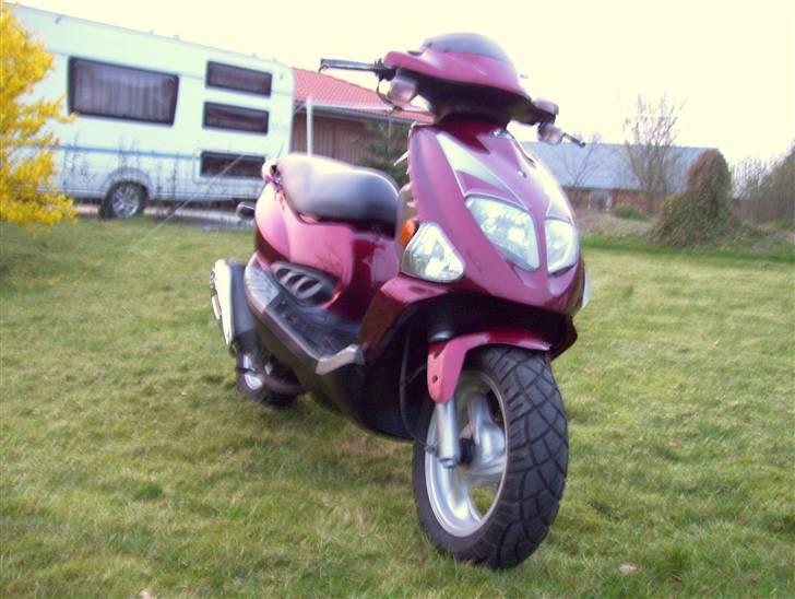 PGO T-rex SOLGT 4k billede 1