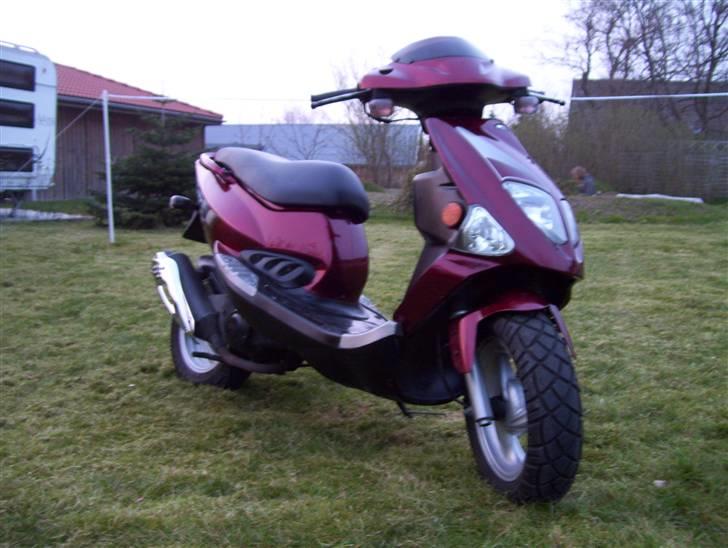 PGO T-rex SOLGT 4k billede 2