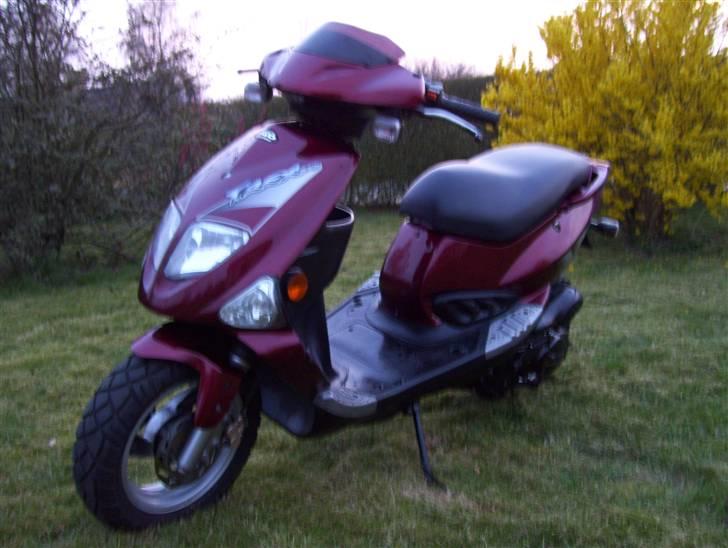 PGO T-rex SOLGT 4k billede 3