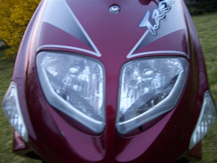 PGO T-rex SOLGT 4k billede 4