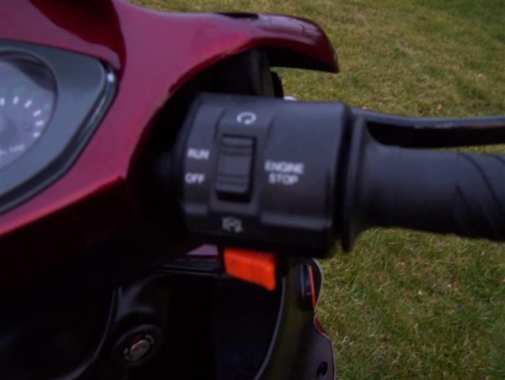 PGO T-rex SOLGT 4k billede 7