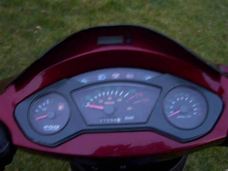 PGO T-rex SOLGT 4k billede 8