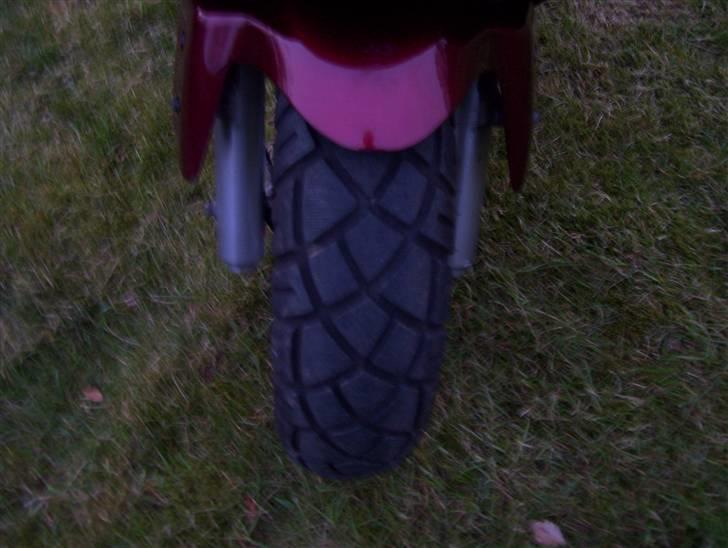 PGO T-rex SOLGT 4k billede 10