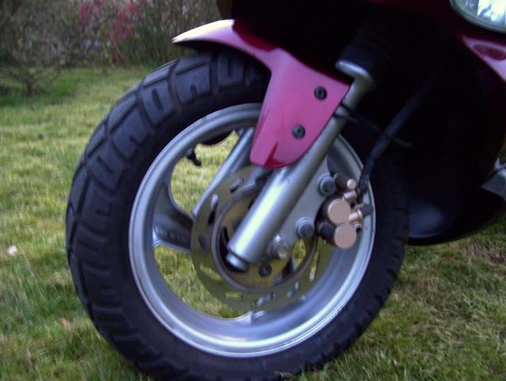 PGO T-rex SOLGT 4k billede 11