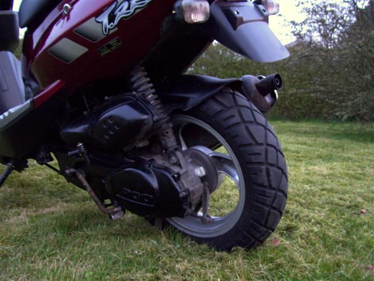 PGO T-rex SOLGT 4k billede 12