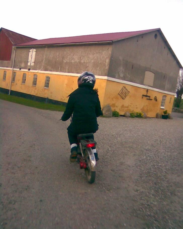 Vespa bravo  - min søster er li ude og lufte min bravo xD billede 10