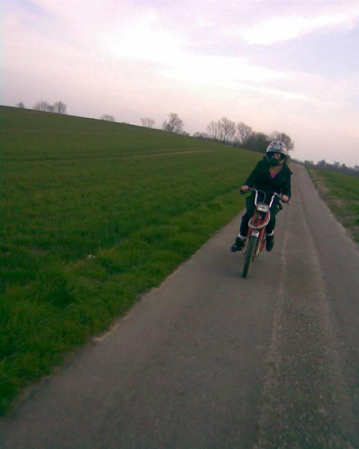 Vespa bravo  - min søster er li ude og lufte min bravo xD billede 11