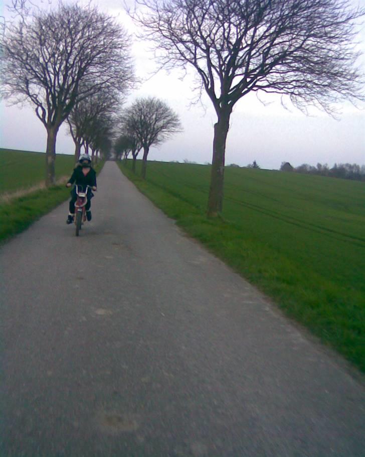 Vespa bravo  - min søster er li ude og lufte min bravo xD billede 12