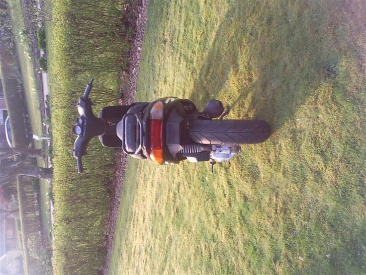 Gilera stalker (solgt) billede 4