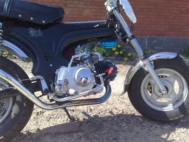 Skyteam Dax - Kig godt på billedet . ;D Så kan du se en numse . ;p  billede 6