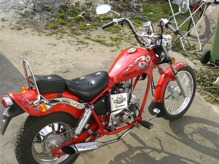 Regal Raptor  billede 5