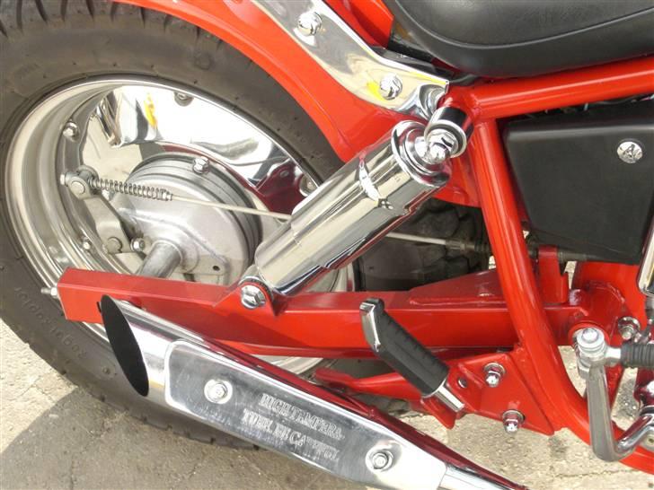 Regal Raptor  billede 6