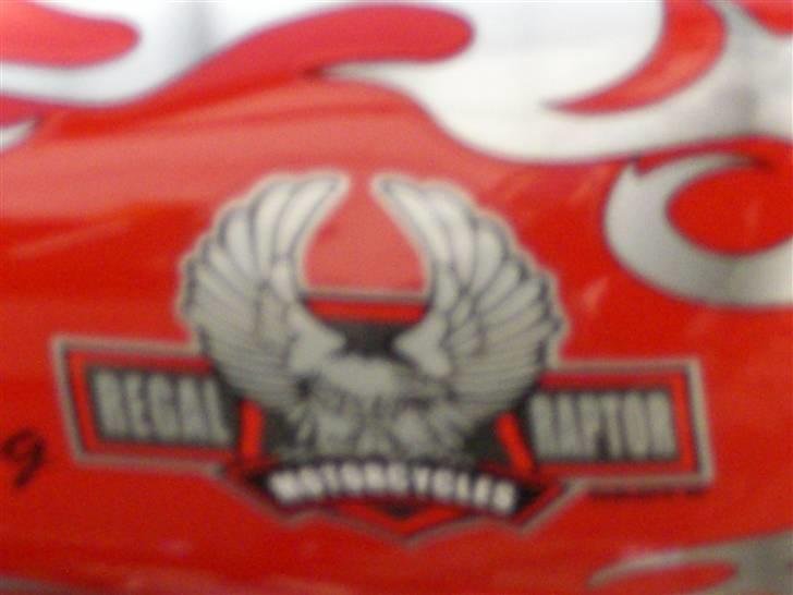 Regal Raptor  billede 7
