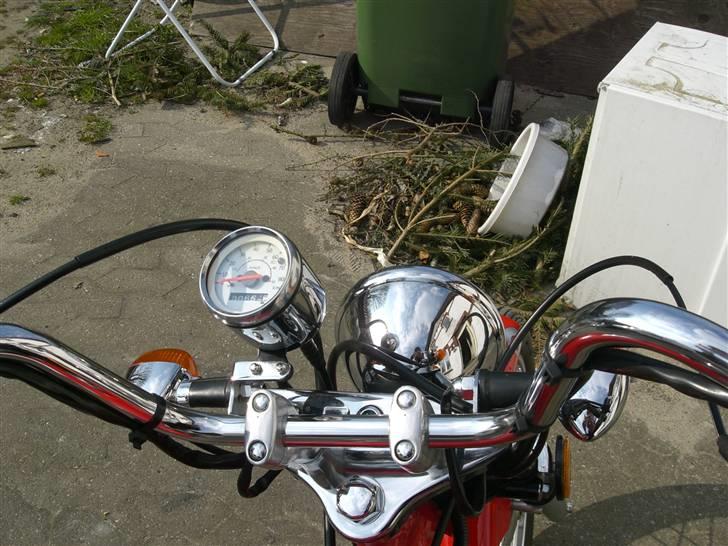 Regal Raptor  billede 9