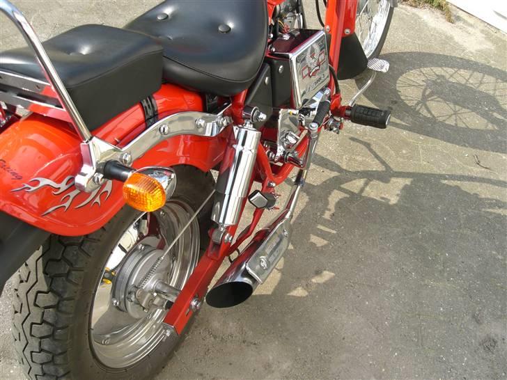 Regal Raptor  billede 11