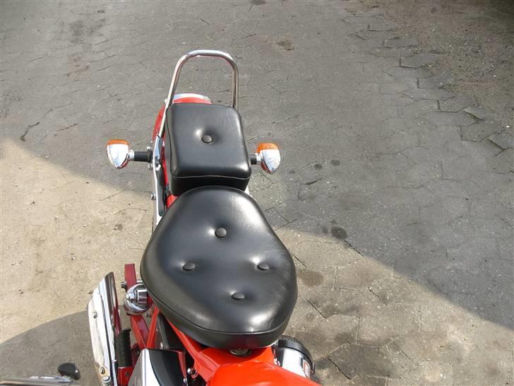 Regal Raptor  billede 13