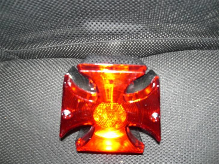 Regal Raptor  billede 15