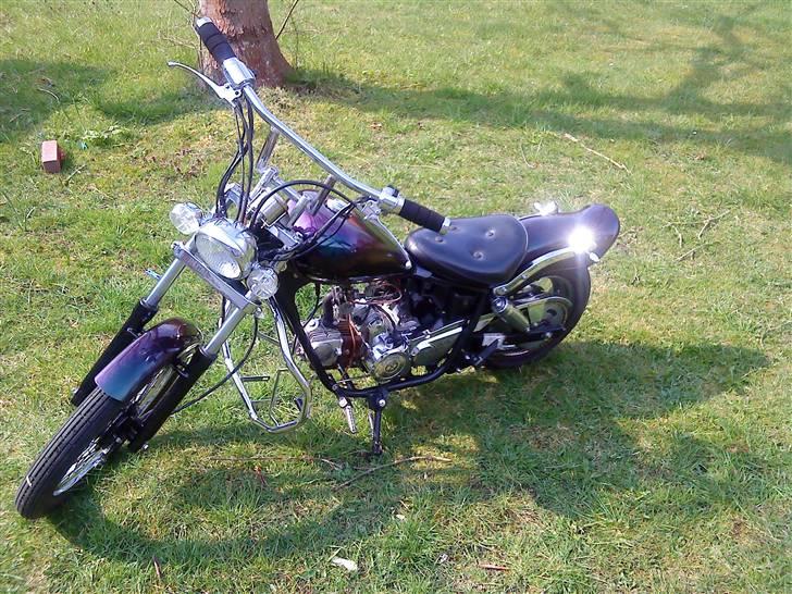 Regal raptor: RARLEYen billede 1