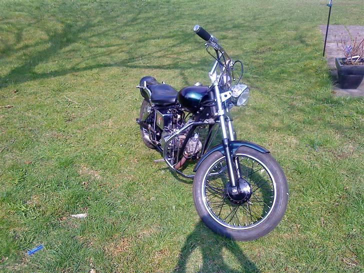Regal raptor: RARLEYen billede 3